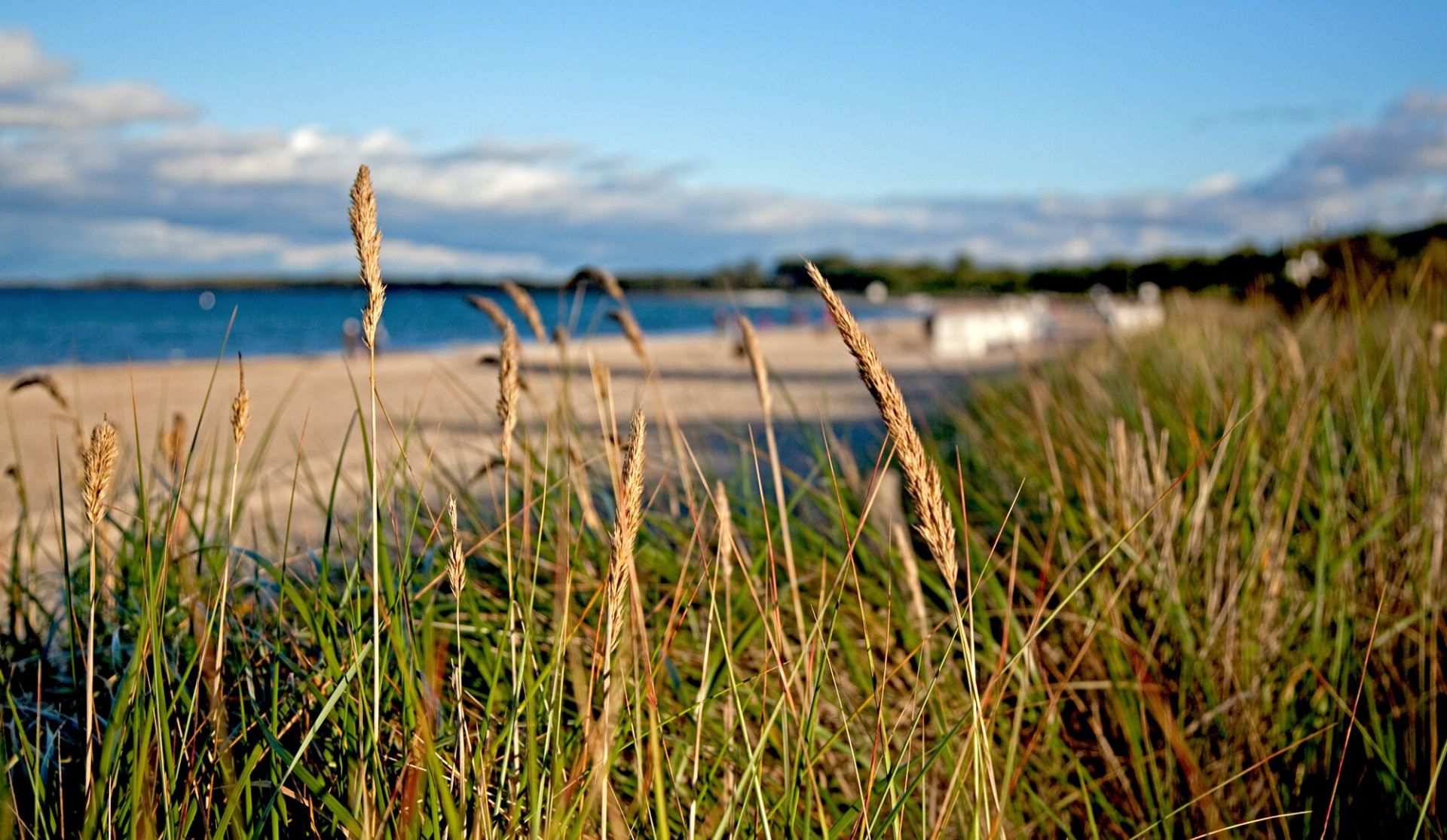 Boltenhagen Strandhafen Hausprospekt